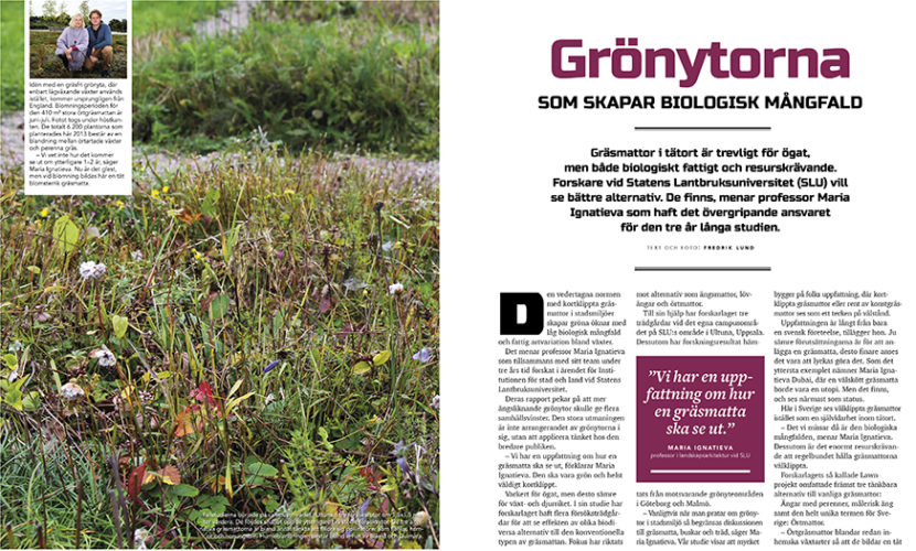 Alternativa grönytor ingång