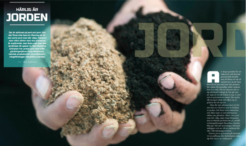 Hasselfors ingång webb