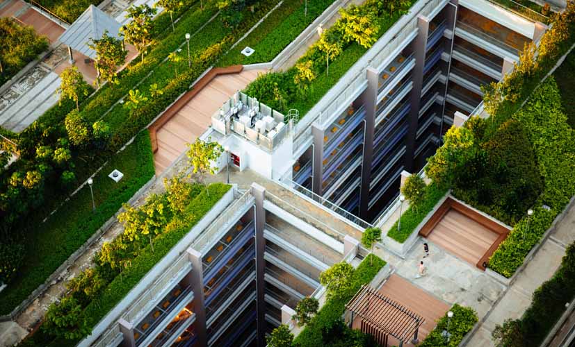 Ny rapport: Grönområden i världens städer fortsätter minska