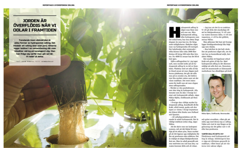 Reportage Hydroponisk odling_ingang