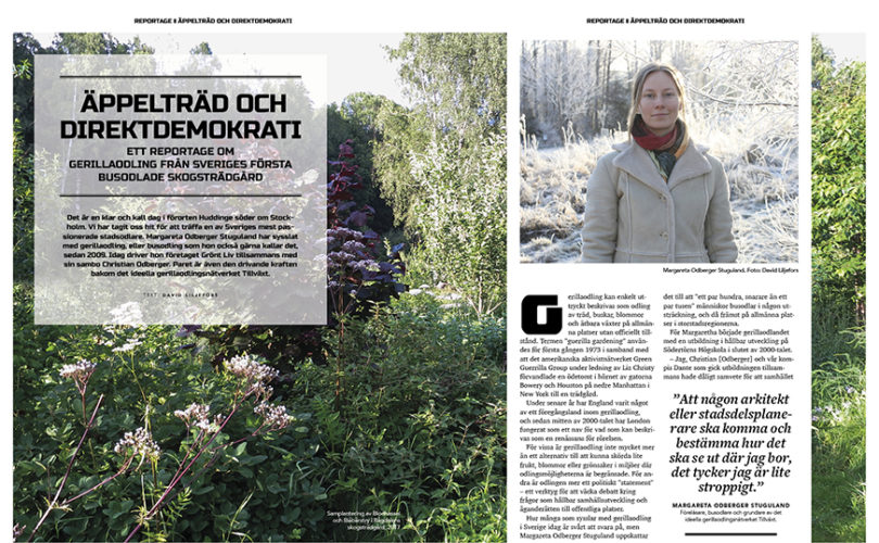 Reportage äppelträd och direktdemokrati_ingang