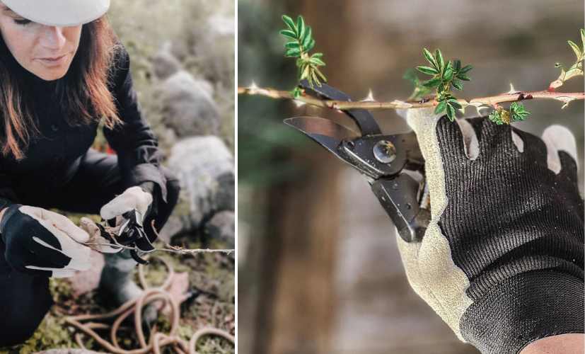 Inneboende kvalitetskänsla