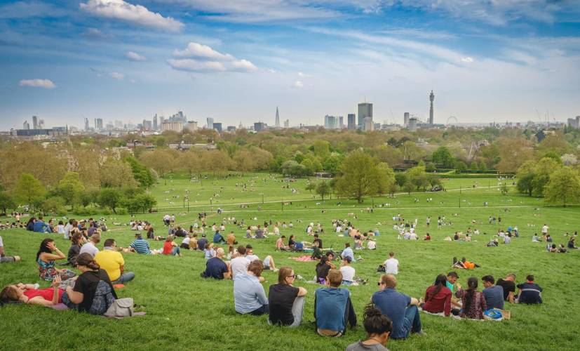 Juristen: Med parken som energikälla