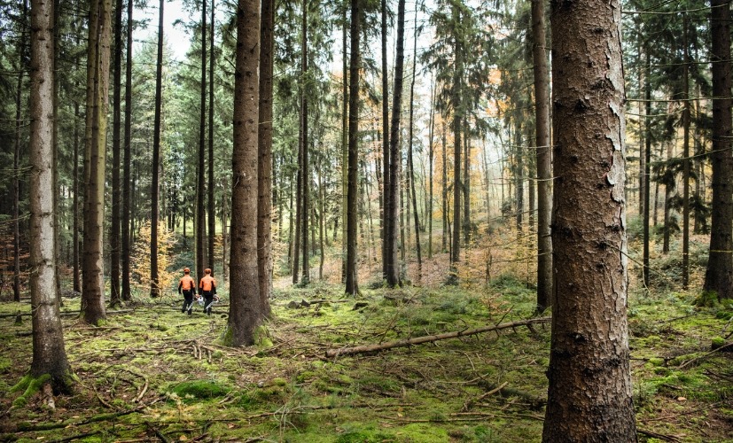 STIHL och Alligo inleder nytt nordiskt partnerskap – Swedol och Tools blir återförsäljare