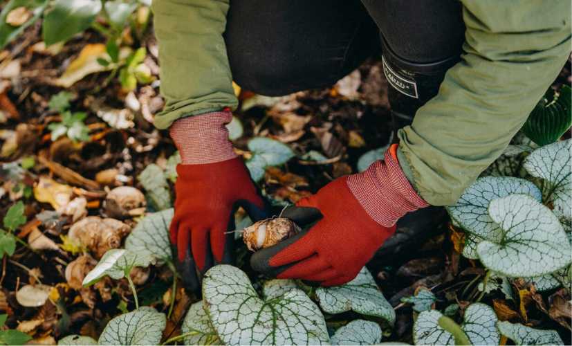 Värme och funktion￼